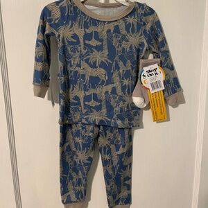 Boys 2-Piece Super Soft Jersey Snug-Fit Pajama Set with Socks- Jungle Safari 24M